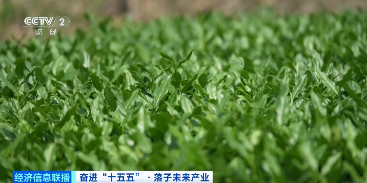 摆脱对石油、天然气依赖！这一超10000亿元大产业爆发！(图1)