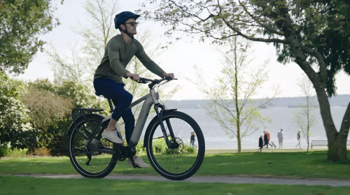 冲刺IPO、巨头入局、老牌破产……E-bike的“冰火”世界