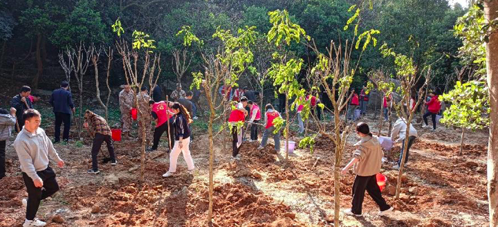 绿美广东 乡村绿化种植苗木371万株广东再掀义务植树热潮(图1)