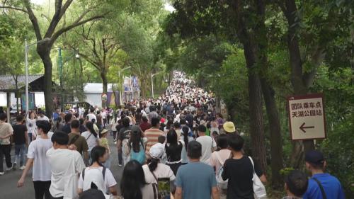 16天3.02亿人次！今年双节铁路客运量竟超2022年春运