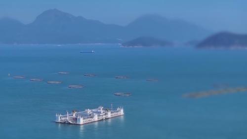 总投资将超千亿元！广东国企引领现代化海洋牧场建设