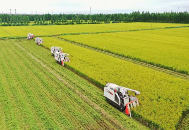 培育农业现代化大产业肇庆冲刺“千亿目标”(图1)