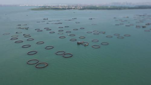 广州：公示海洋空间规划草案 六大产业组团“蓝色经济”