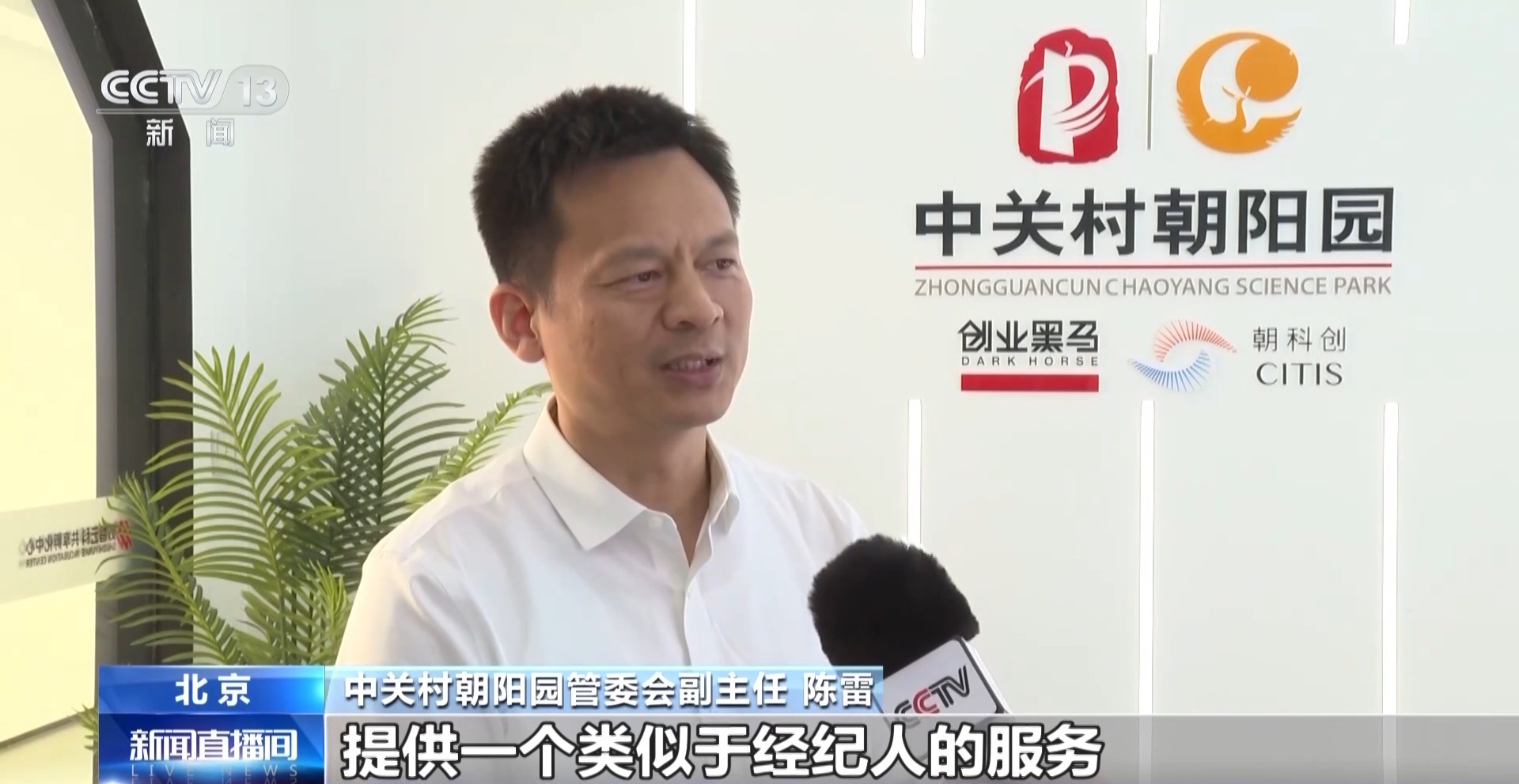 “一人公司”快速兴起做什么业务AI如何赋能?(图15)