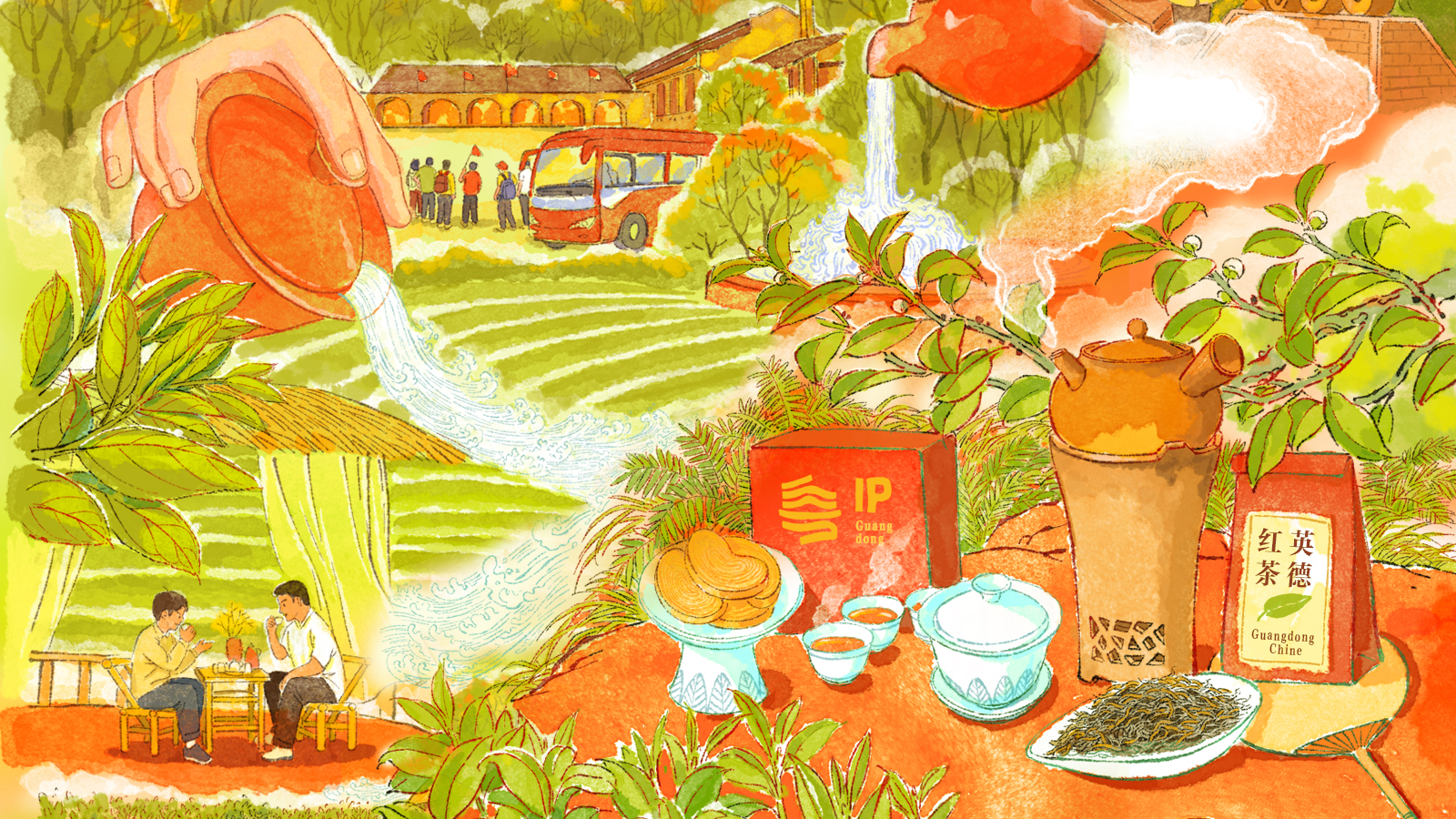 从茶饮爆款到APEC好礼，英德红茶何以出圈？