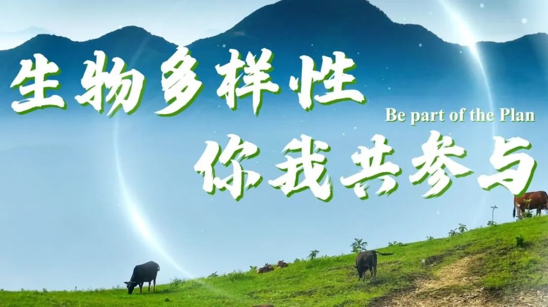 生态环境部发布2024年国际生物多样性日主题宣传片
