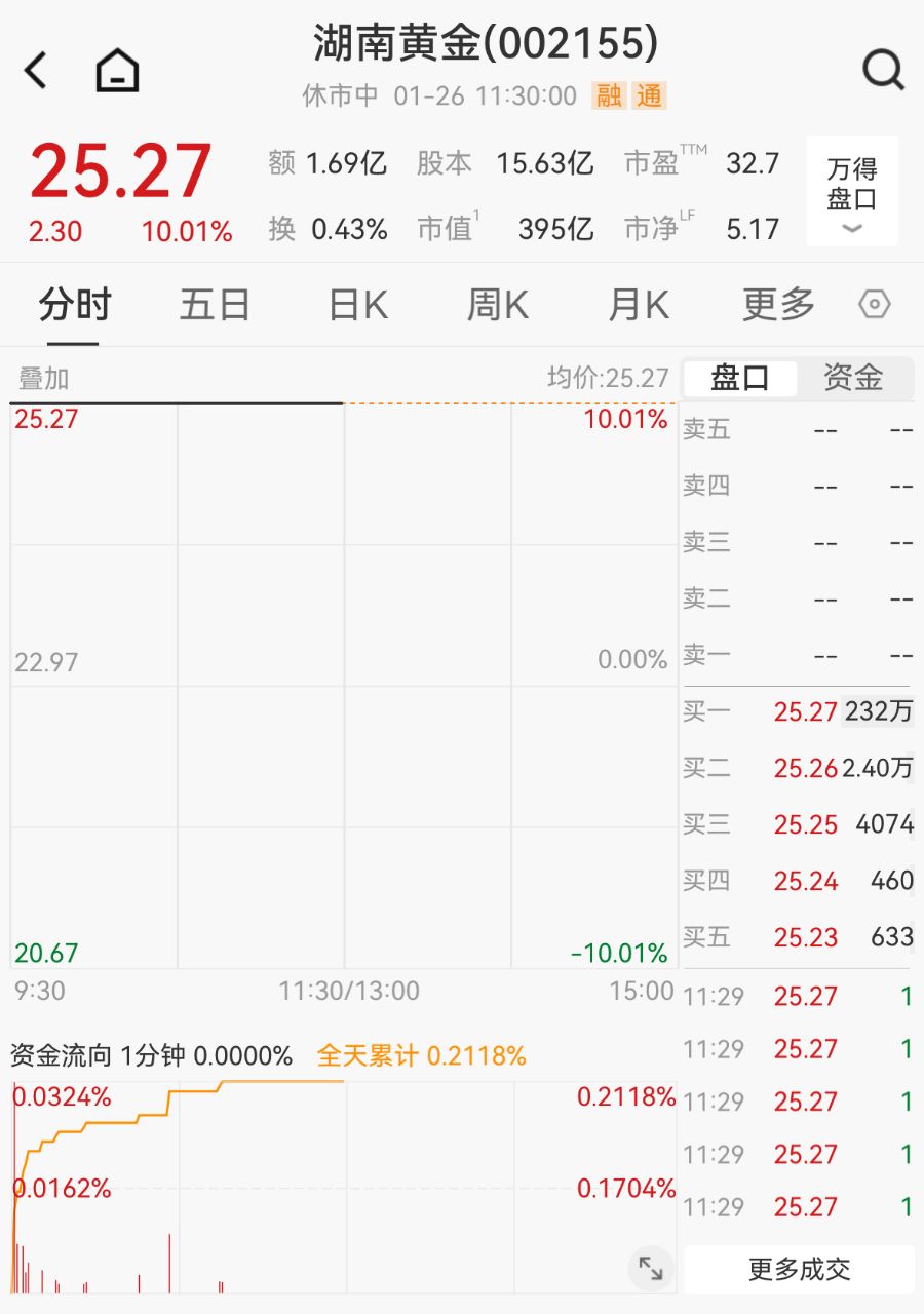 现货 黄金 总 市值 (99) 사진