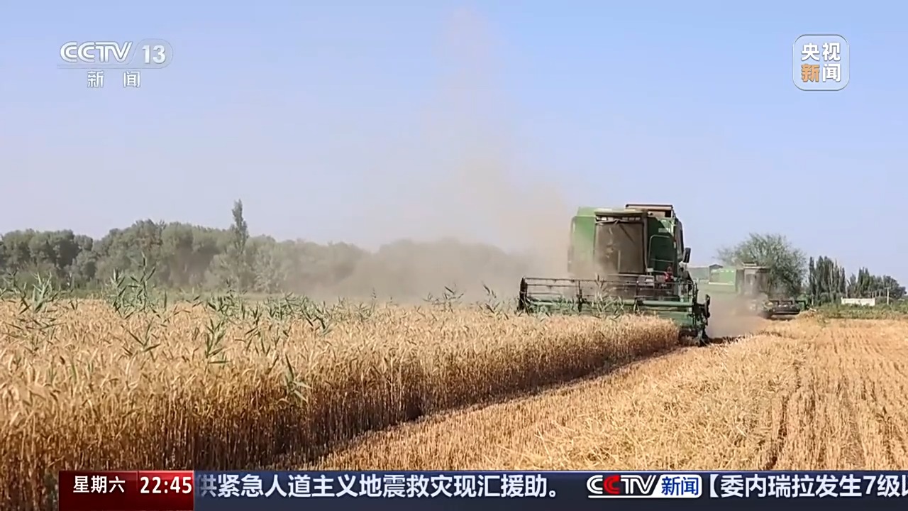 探索“治沙返耕”新路径 他们在塔克拉玛干把沙漠“变”麦田