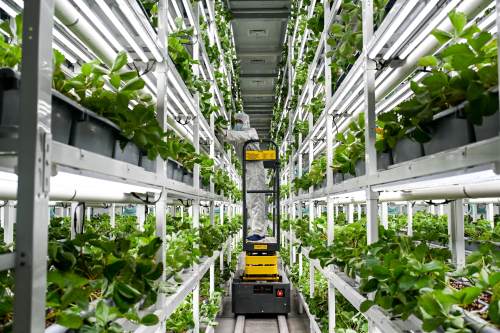 2025年度广东省科学技术奖拟奖公示，超25项涉农成果上榜
