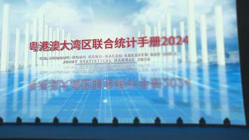  The 3rd Guangdong Hong Kong Macao Greater Bay Area Statistics Forum | The Joint Statistics Manual of Guangdong Hong Kong Macao Greater Bay Area was officially released