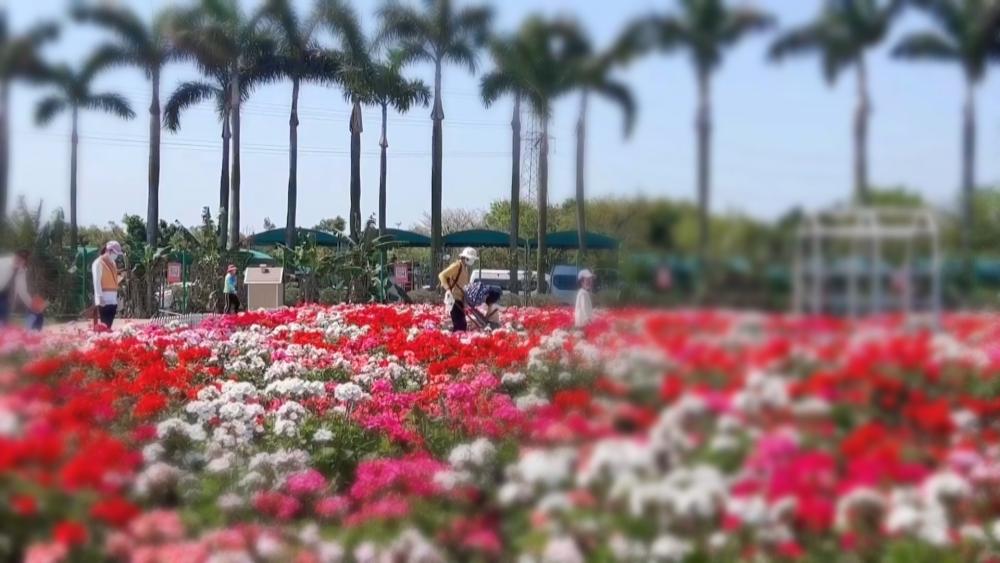 “春日经济”持续火热,广深稳居境内游热门目的地前10名