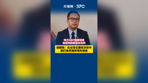 胡麒牧：在全球主要经济体中，我们依然保持领先增速