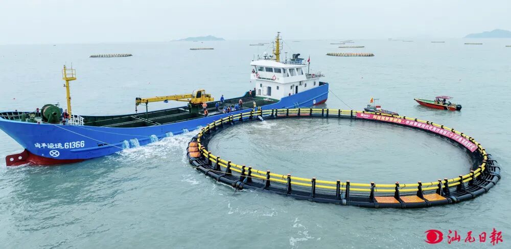 汕尾在沧海良田里“种”蓝色粮仓与千亿级产业链