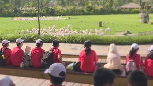 2026广东开学第一课｜清远长隆森林王国经视小记者研学团