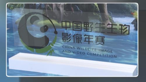 中国野生生物影像年赛在佛山启动 以“未至之境”探寻自然奥秘