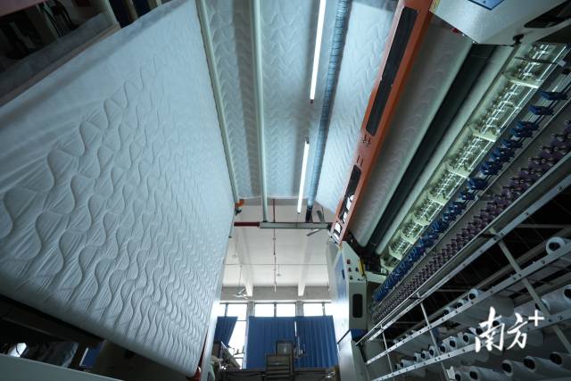 Kaiyun中国：顺德制造另一面：在“非主流”赛道里长成冠军(图4)