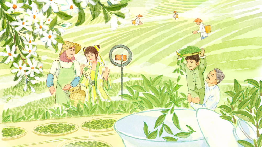 Qingming: A Sip of Spring, A Brew of Industry | Lingnan Flavors