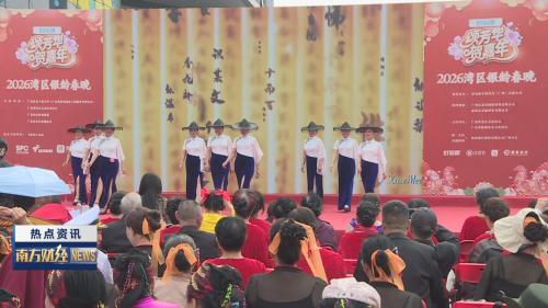 2026年湾区银龄春晚投票火热收官