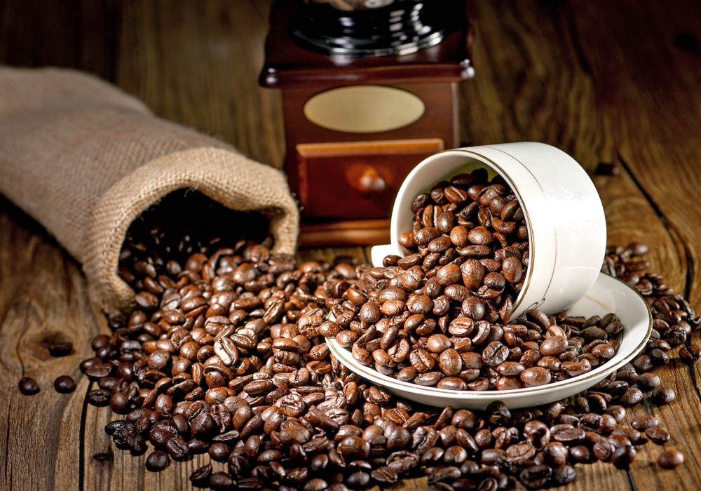 “咖啡浓度”超越北上广！粤港澳咖啡师竞技江门，撬动亿级消费池