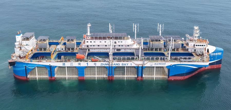 熊猫体育智能股份湛江海洋经济成绩单：竞争力全省第三力争年产值破1400亿(图1)