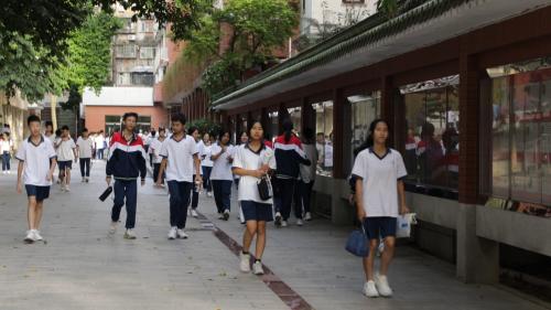 广东发布未来5年实施方案！中小学校每所至少1名科学副校长！