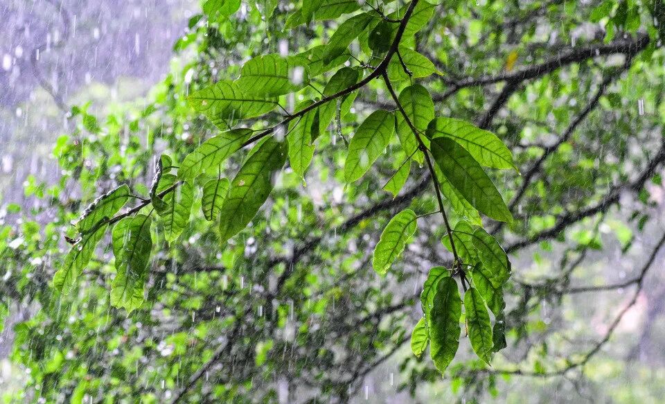 大暴雨马上到广东!还有8级大风,几天后再升温