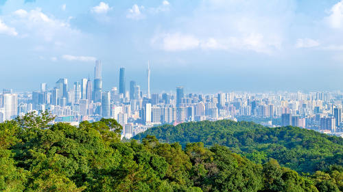 闯泰粤商：在异国拼出“生猛”人生