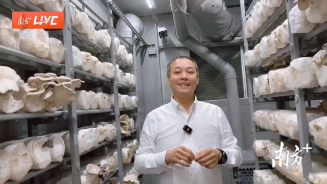 Kaiyun中国：顺德制造另一面：在“非主流”赛道里长成冠军(图5)