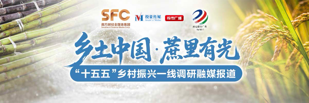 乡土中国  蔗里有光