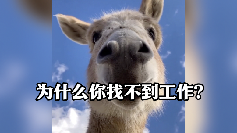 招聘网站越赚钱，你越难找工作