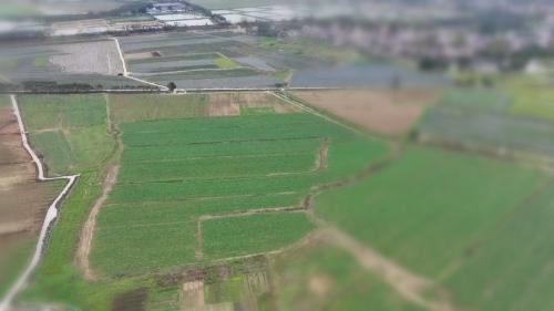 【春耕正当时】中山抓好春耕备耕 提升乡村农业产业发展质量