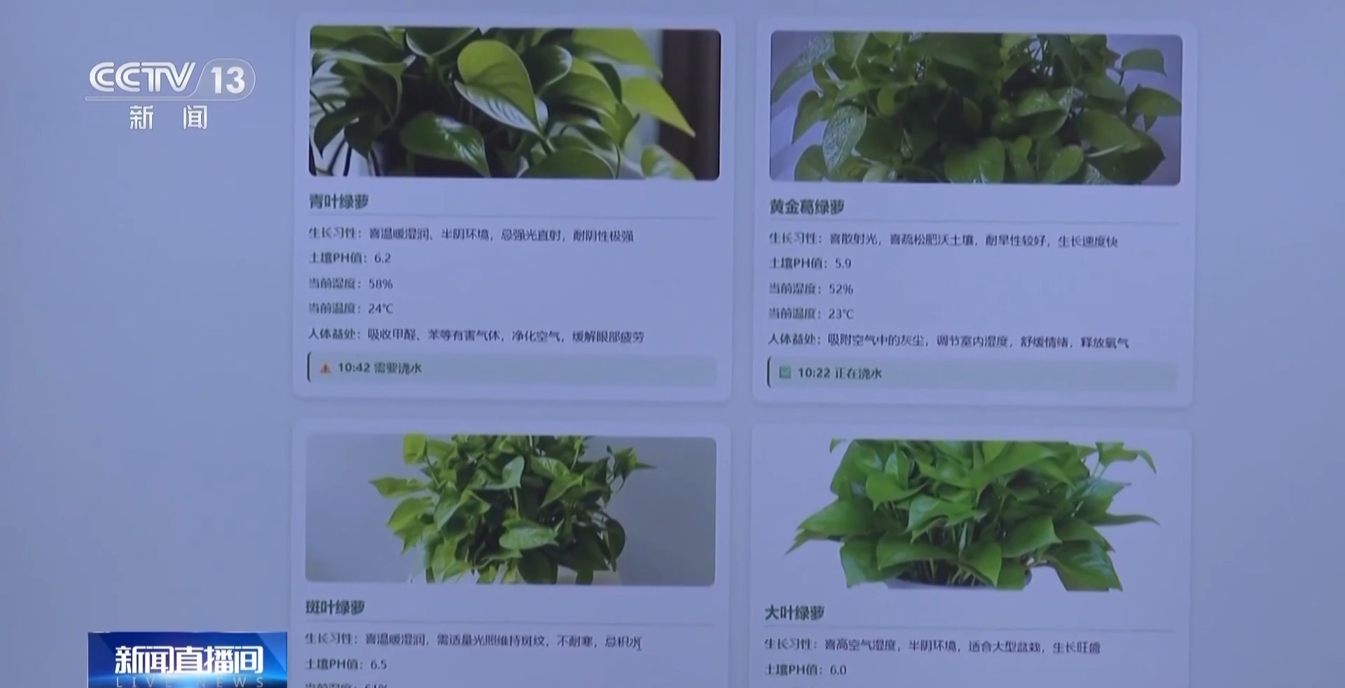 “一人公司”快速兴起做什么业务AI如何赋能?(图8)