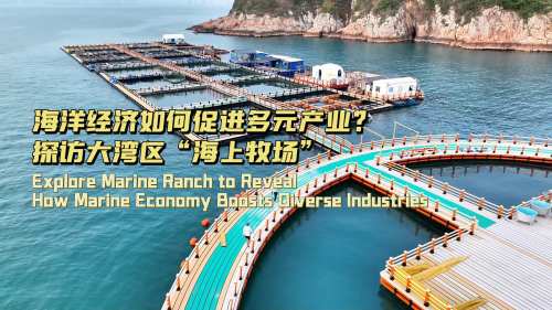 “海上智能工厂”如何组成
