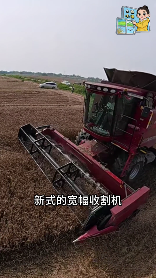 夏收背后的中国粮食生产底气(图2)