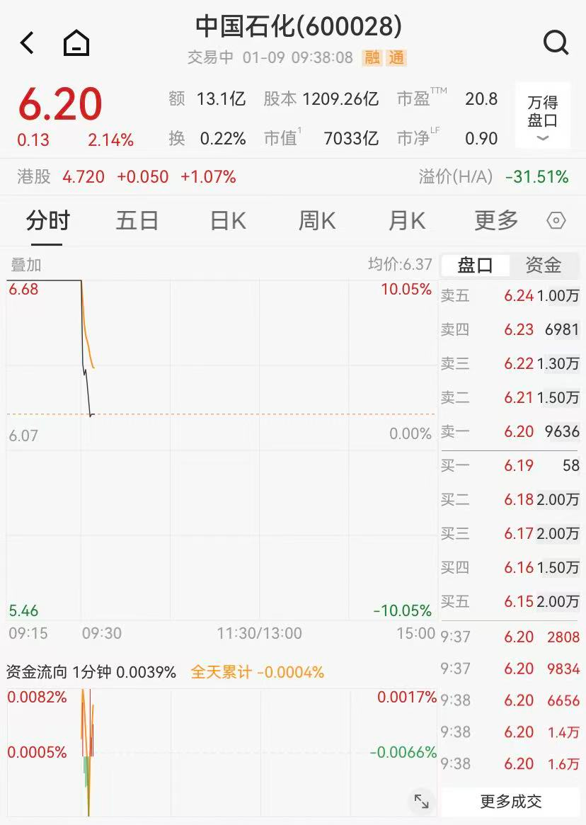 油气股高开，中国石化竞价涨停- 21经济网